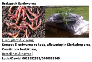 Compost &amp; Earthworms
