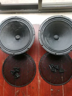 Fender vintage speakers
