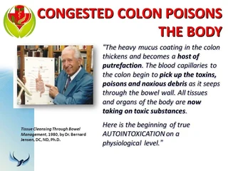 30-Day Detox &amp; Cleanse Combo Program only R990 (Postage not included))