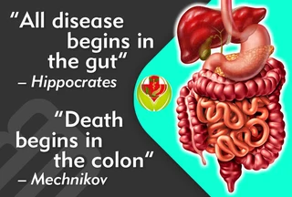 30-Day Detox &amp; Cleanse Combo Program only R990 (Postage not included))