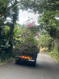 Rubble - Ad posted by meshach marimuthu