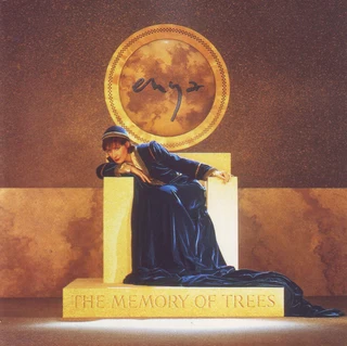 2 Enya CDs R100 for both or sold separately