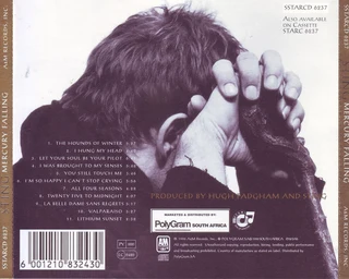 2 Sting CDs R120 for both or sold separately