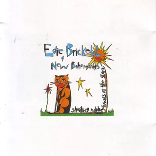 Edie Brickell & New Bohemians - Shooting Rubberbands At The Stars (CD)