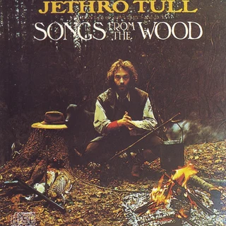 2 Jethro Tull CDs R145 for both or sold separately