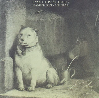 2 Pavlov&#39;s Dog CDs R220 for both or sold separately