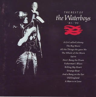 The Waterboys - The Best Of The Waterboys 81-90 (CD)