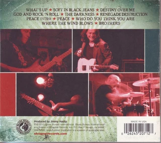 Michael Landau, Robben Ford, Jimmy Haslip, Gary Novak - Renegade Creation (CD, digipak)