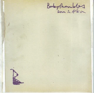 Babyshambles - Down In Albion (CD)