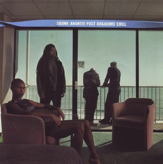 Skunk Anansie - Post Orgasmic Chill (CD)