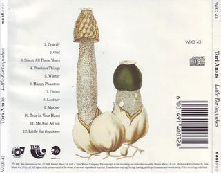 2 Tori Amos CDs R120 for both or sold separately