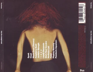 2 Tori Amos CDs R120 for both or sold separately