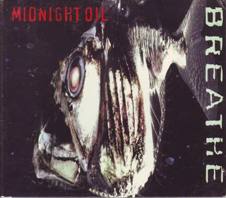 2 Midnight Oil CDs R120 for both or sold separately