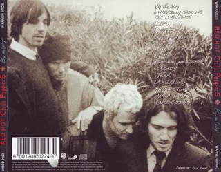 3 Red Hot Chili Peppers CDs R200 for both or sold separately