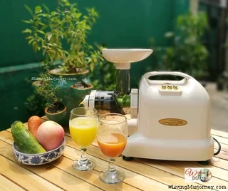 Matstone 6-in-1 multi-purpose slow masticating Cold Press Juicer for sale