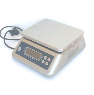 WP0003 Stainless steel waterproof 6kg/.5g scale with customer display for sale