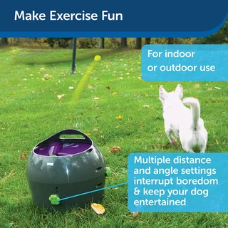 PetSafe Hands-free fetch Automatic Ball Launcher for sale