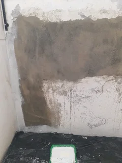 Painting and Waterproofing