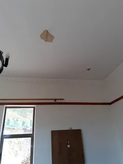 Painting and Waterproofing