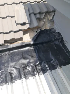 Painting and Waterproofing