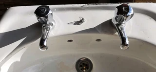 Basin with COBRA TAPS