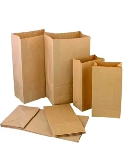 Small and meduim Brown paper bags