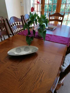 Dining room  Table