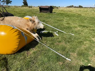 DOWNER COW AIR INFLATING LIFTING JACKS
