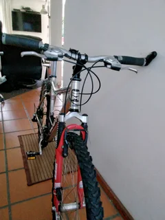 Mountain bike