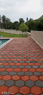 Swimming Pool construction and Paving