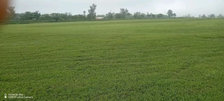 All seasons Farm Fresh