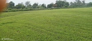 All seasons Farm Fresh