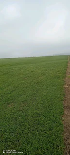 All seasons Farm Fresh