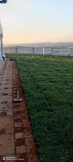 Farm fresh evergreen grass