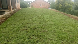 Farm fresh All Seasons Evergreen