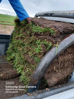 Farm fresh All Seasons Evergreen