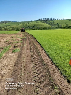 Instant lawn Evergreen