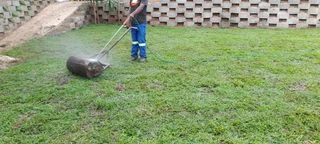 Evergreen grass instant lawn