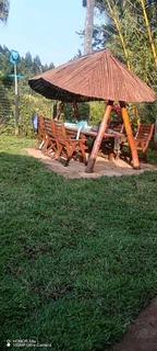 Farm fresh evergreen instant lawn