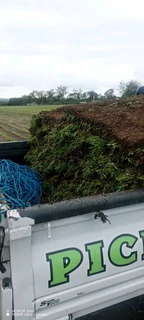 Farm fresh evergreen instant lawn