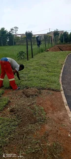 Farm fresh instant lawn