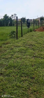 Farm fresh instant lawn