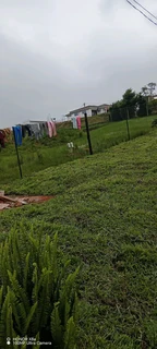 farm fresh evergreen lawn