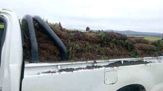 farm fresh evergreen lawn