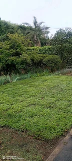 farm fresh evergreen lawn