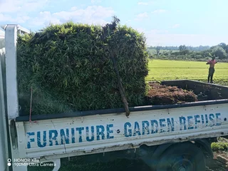 Farm fresh All Seasons Evergreen instant