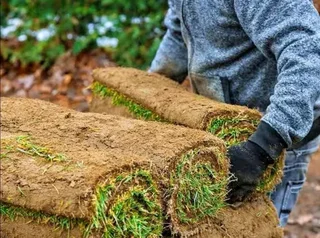 Farm fresh All Seasons Evergreen instant lawn