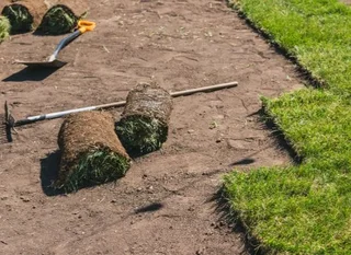 Farm fresh All Seasons Evergreen instant lawn