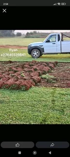 Kikuyu/Buffalo Specialist