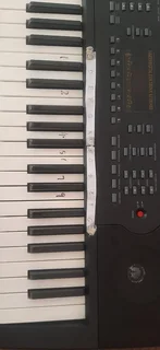 Sanchez 54 Key Ark15 Standard Piano Keyboard